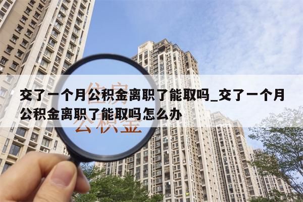 交了一个月公积金离职了能取吗_交了一个月公积金离职了能取吗怎么办