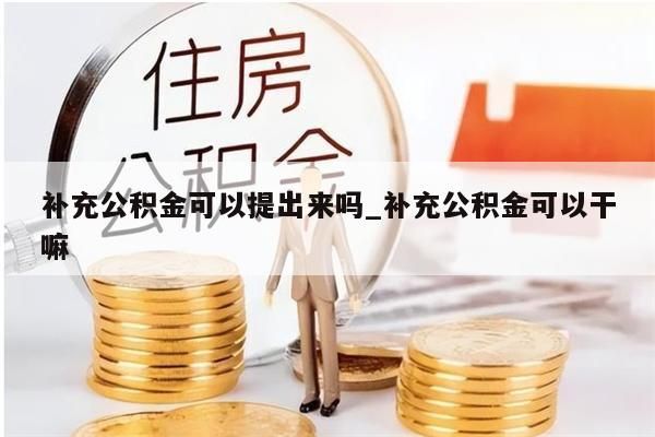 补充公积金可以提出来吗_补充公积金可以干嘛