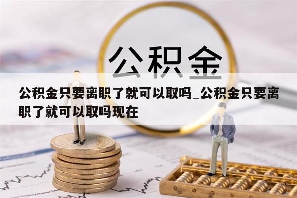 公积金只要离职了就可以取吗_公积金只要离职了就可以取吗现在