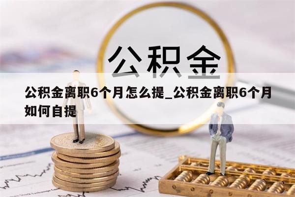 公积金离职6个月怎么提_公积金离职6个月如何自提