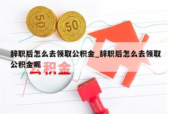 辞职后怎么去领取公积金_辞职后怎么去领取公积金呢